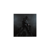 DIAMANT NOIR - DOUBLE VINYLE